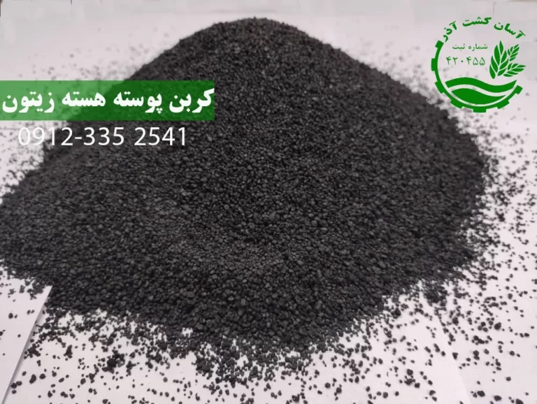 کربن هسته زیتون