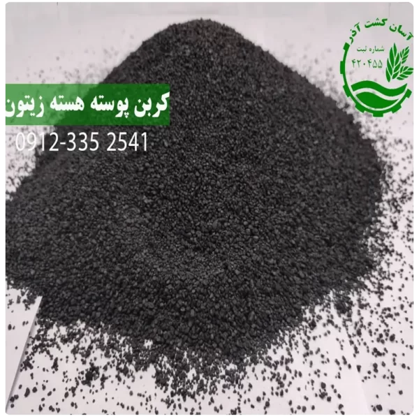 کربن هسته زیتون
