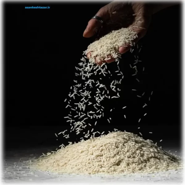 برنج دودی