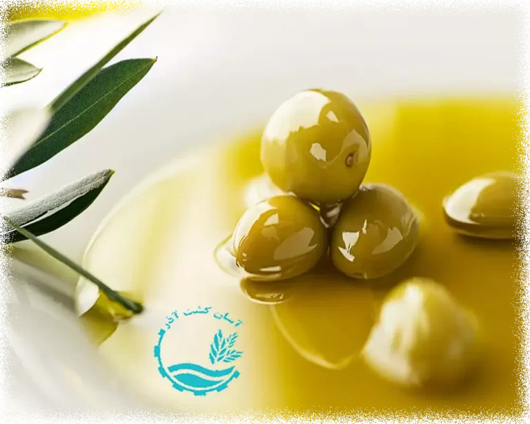 روغن زیتون بکر