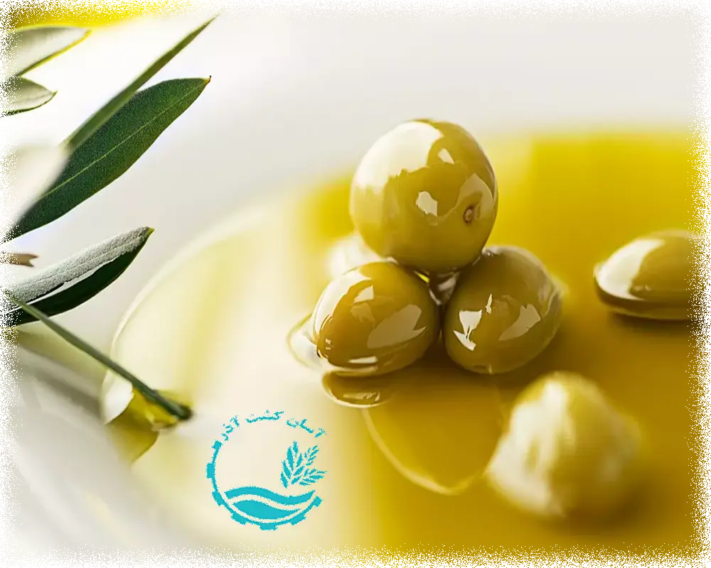 روغن زیتون بکر