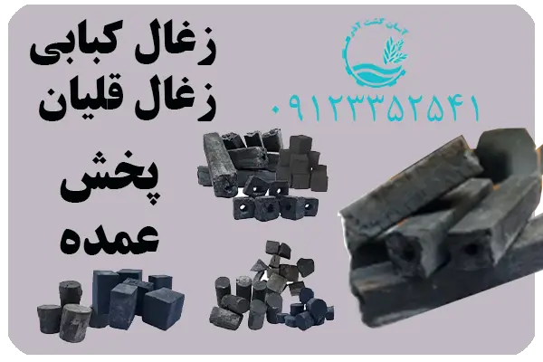 زغال هسته زیتون