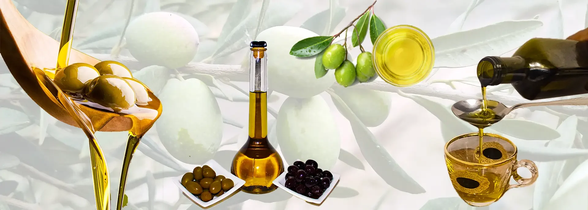 روغن زیتون