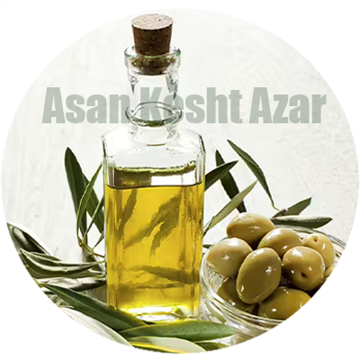 olive-oil-san-kesht-azar.ir olive-oil-san-kesht-azar.ir